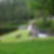 Gfp-pennsylvania-promised-land-state-park-bridge-and-dam.jpg